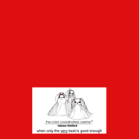 Lainee Plastat Papper Röd 15x23cm